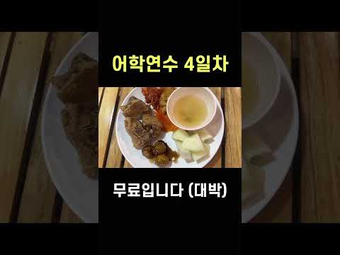 어학연수 4일차 적응완료?!아마도 필리핀 바기오