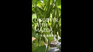 【DISCOVER with MAZDA】”本格”農業体験しませんか？