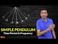 Pendulum Motion and Frequency Concepts