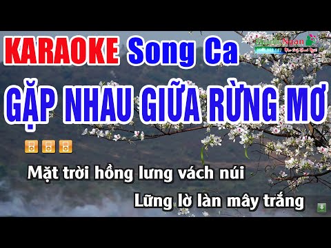 Gặp Nhau Giữa Rừng Mơ Karaoke Song Ca | Nhạc Sống Thanh Ngân