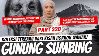 PENDAKIAN GUNUNG SUMBING - KHW PART 320