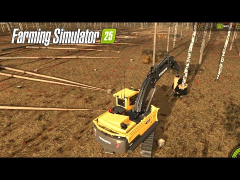 Building a Mega Farm Out of a Forest #4 PineWood Forest | Hard Mode Farming Simulator 25 Time Lapse