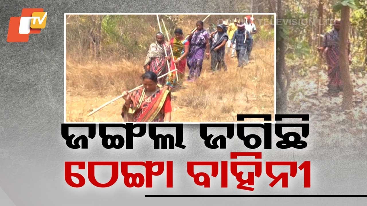 Braving the Flames: Odisha Villagers Form 'Thenga Bahini' to Protect Forests