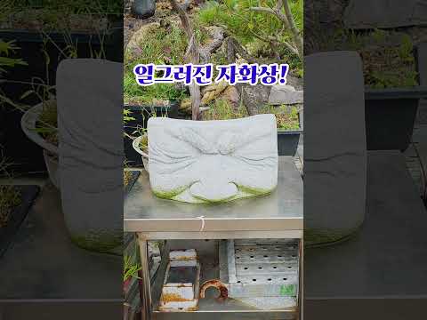 잠시 손을놓고 내려온 장자도에서 작자미상의 <strong>일그러진</strong> 현대인의 자화상 석부조에 마음을 내려놓고 갑니다~ #일그러진자화상 #석부조 #장자도 #불꽃뉴스tv