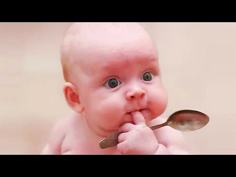 Cute Chubby Babies will make your Day  - Funniest Home Videos