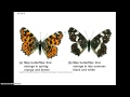 Microevolution and Selection Mechanisms