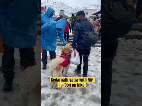 Kedarnath yatra wih Coco bike से😱! kedarnath temple !bike ride with dog @himalayanamit