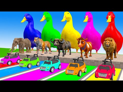 Long Slide Game With Cow Elephant Gorilla Hippopotamus Tiger - Funny 3d Animals