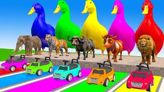 Long Slide Game With Cow Elephant Gorilla Hippopotamus Tiger - Funny 3d Animals
