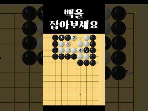 쉬운 바둑 사활 - 백 9점을 잡아보세요