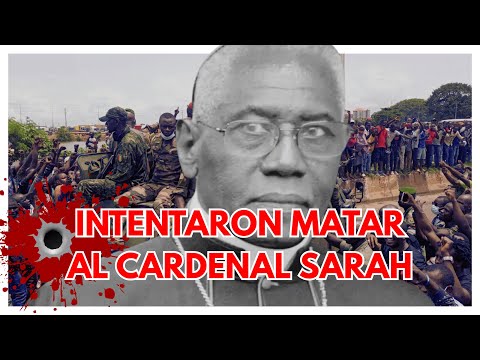 Intentaron matar al Cardenal Sarah y otros datos de su vida