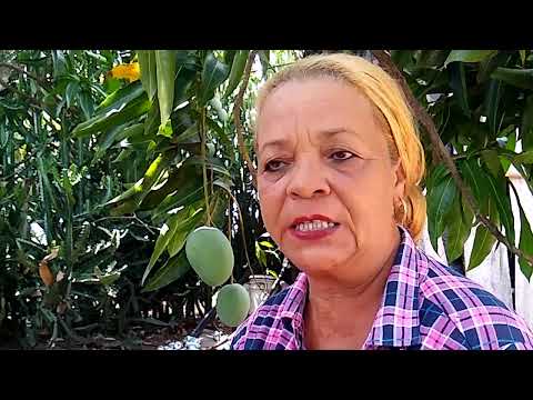 Nersa, la productora que lucha por los demás