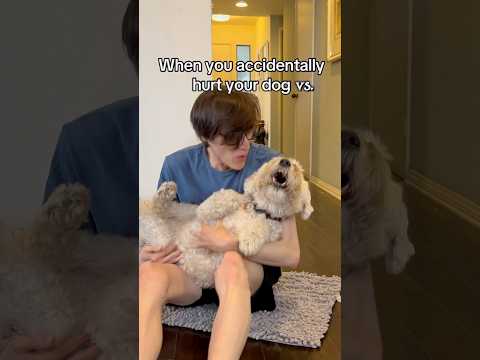 Hurting Your Dog vs Your Dog Hurting You 🐶 @TheJessiiShow  iB: @JesseTheologus