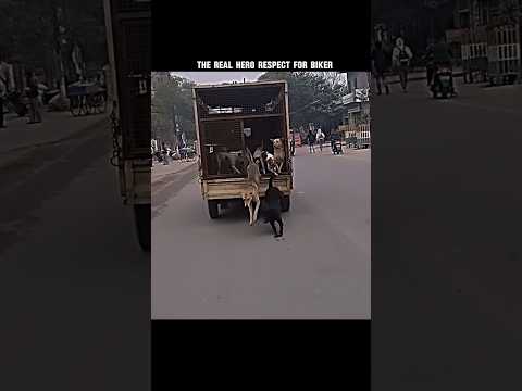 the real hero respect for biker
