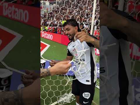 image para ilustrar o artigo