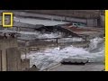 Understanding the 2011 Japan Earthquake and Tsunami