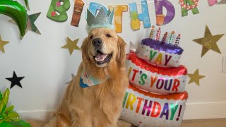 Golden Retriever Turns Four
