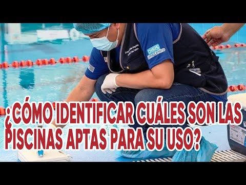 Verano 2025: ¿Cómo identificar cuáles son las piscinas aptas para su uso?