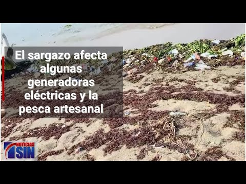 Sargazo en la capital provoca incomodidad de pescadores