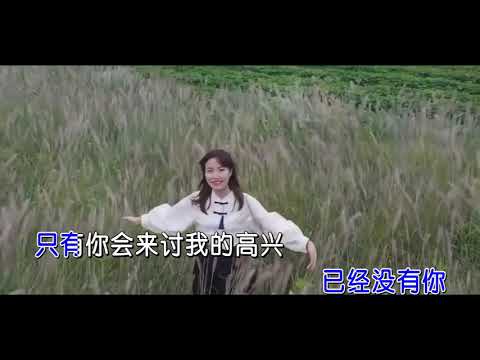 盧潤澤-土坡上的狗尾草(KTV)
