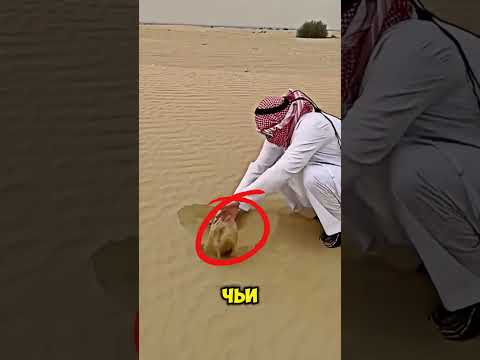 🔥 Почему в Нигерии радуются нефти, а в Саудовской Аравии — нет?