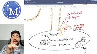 Fisiología | Primer parcial 12 | Potencial de acción y contracción muscular ENFERMEDADES
