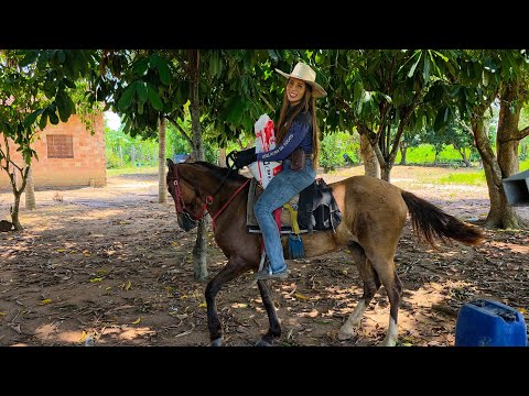 LEVEI MEU CAVALO EMBORA! Vendi, dei?