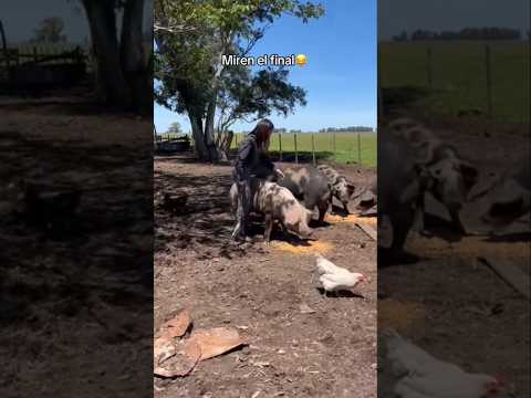 Asi se divierten en el campo π
πβ₯οΈ