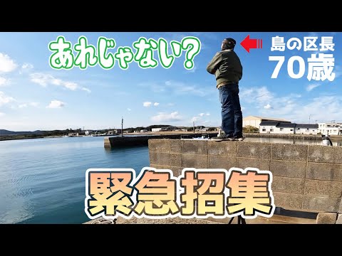 釣り中に突然、漁師さんから電話！「1m超えてたぞ！」巨大○○捕獲ミッション！島のおじさんが尖った道具を持ち…