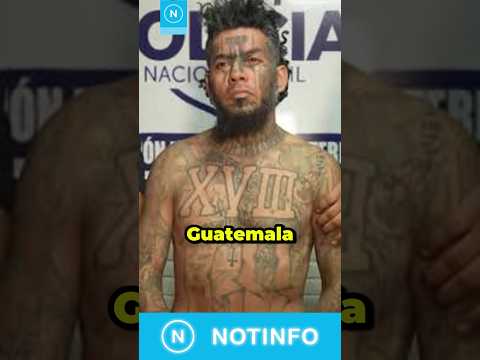 🚨 “Smaylin” cae en México: pandillero salvadoreño entregado a Guatemala y enviado al CECOT