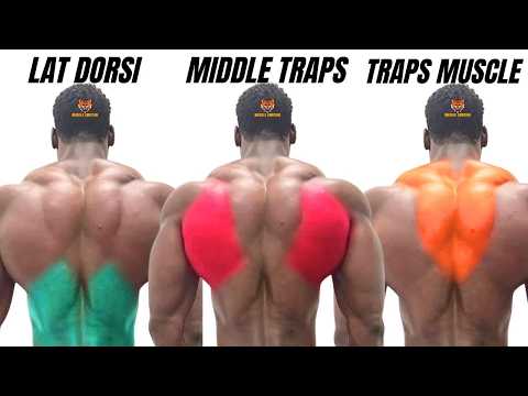 The best back exercises you're not doing, yet you'll regret it if you don't watch them