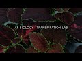 Plant Transpiration Experiment Concepts