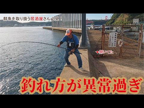 【堤防禁止区域】の釣れ方が異常過ぎる問題！魚を扱うプロの居酒屋さんも驚愕した