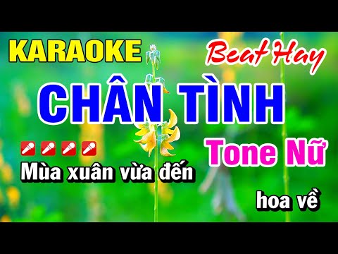 Karaoke Chân Tình (Beat Hay) Nhạc Sống Tone Nữ 2025 | Hoài Phong Organ