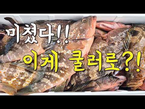 [다리tv] 한점에 만원이라는!? 이 비싼 고기를 쿨러째 잡아봅니다.. 대박!!!