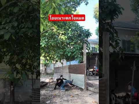 จะเข้าบ้านก็ไม่บอก นึกว่ามีอะไร ตกใจหมด🤷🤷