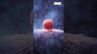 Personalized Cancer Care Explained Tamil  | Tailored Treatment for Every Patient