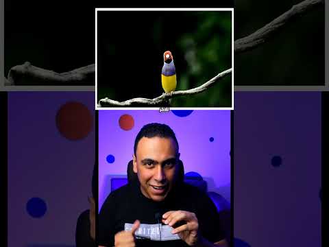 احتفظ بتلك المخلوقات فورا 🖐️