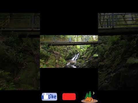 Exploring the Untouched Jungle: Breathtaking Drone Footage..||