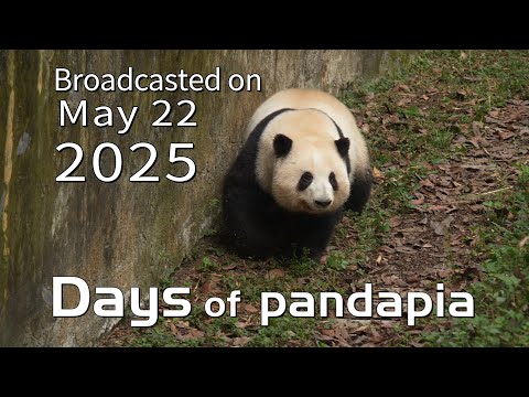 20250522 Broadcast Top Highlights 09