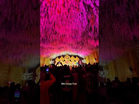 Bhopal Durga Puja 😍🪔