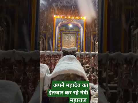 बर्फबारी केदारनाथ धाम || Snowfall in kedarnath Dham #kedarnath #baba #mahadev #shorts