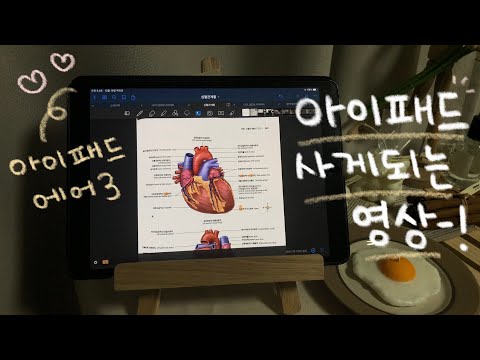 ENG) 간호사의 아이패드 활용법-! 어플 추천, 필기방법, 공부활용 꿀팁! 🧸💛
