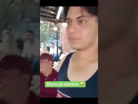 A reír un poco con el mono de alambre 🤪