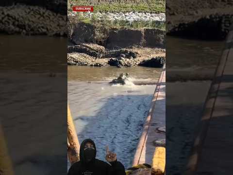 Mengerikan! Kejadian Hari Ini Pas Lagi Mancing Disungai, Coba Kalian Perhatikan