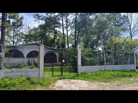 Encantadora Casa de Campo en Venta $30,000 Con Amplio Terreno y Árboles Frutales