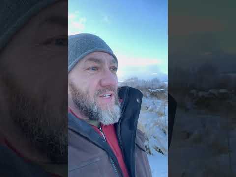 Когда ты к миру с добром - он отвечает тебе тем же