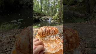 Çamurda Gömlek Yağında Kuzu Gerdan? - primitive lamb neck cooking in mud
