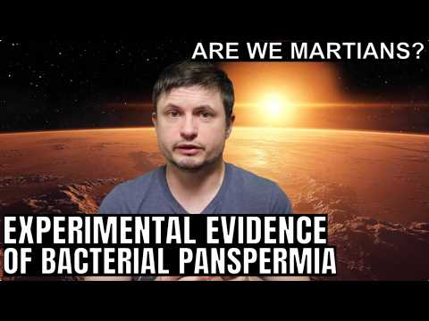 How 'Conan the Bacterium' Proved Panspermia is Possible