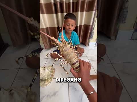 PILIH KEPITING ATAU KEONG #shorts